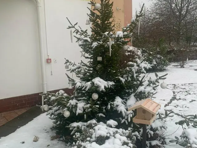 Rozsvícení vánočního stromečku - 0 - s.JPG