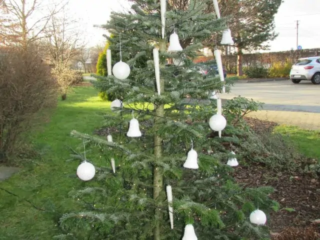 Rozsvícení Vánočního stromku 3.12.2019