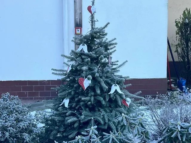 Vánoční trhy 2025 - 7 - IMG_5856.jpg