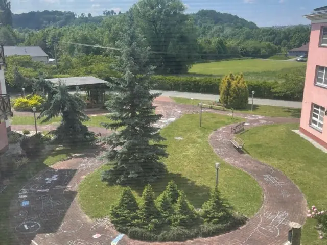 Kácení májky a oslava Dne dětí - 7 - fbafbcce-76ac-4079-9ee7-fb55bed5d729.JPG